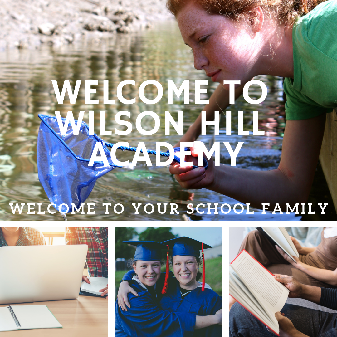 Welcome to Wilson Hill 2